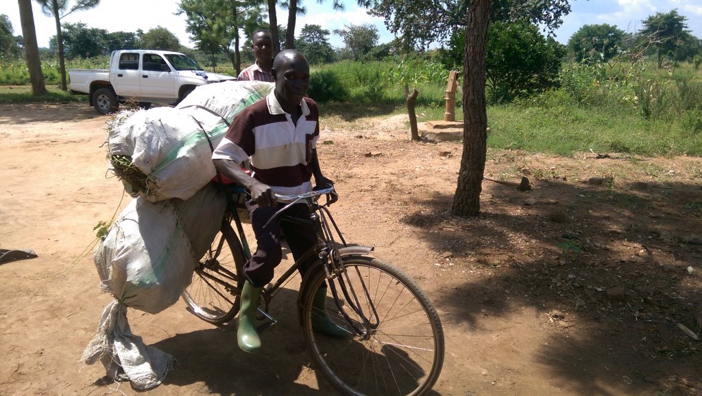 The young man from the neighborhood who Simon hires as caretaker in his absence. He is carrying sweet potatoes. Simon and his truck are behind him.
