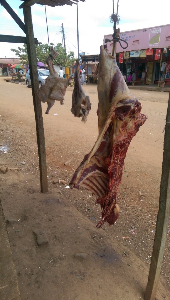 Butcher shops hangs carcasses out front, and I am assured this is good meat, especially if it attracts flies. L To Right, turkey, goat, and cow