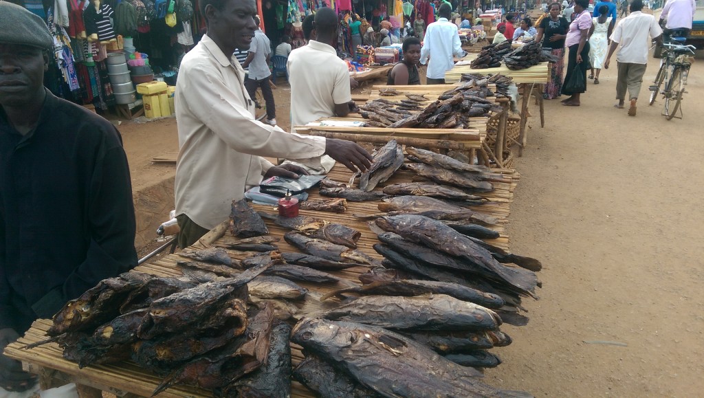 Speaking of fish, these are cooked fish at the market. Can't bring myself to try one. I can buy frozen mince meat (ground beef) only in Iganga. I make spaghetti meat sauce and hamburgers from it on my electric grill. I go about every other weekend to Iganga to withdraw money from Barclays (the only ATM in Bugiri charges 13,000 shillings for a withdrawal and a roundtrip to Iganga is 4,000) and do some shopping. Sometimes I use the free wireless and eat western food at the Sol Cafe, and often I visit my nearby home stay family.